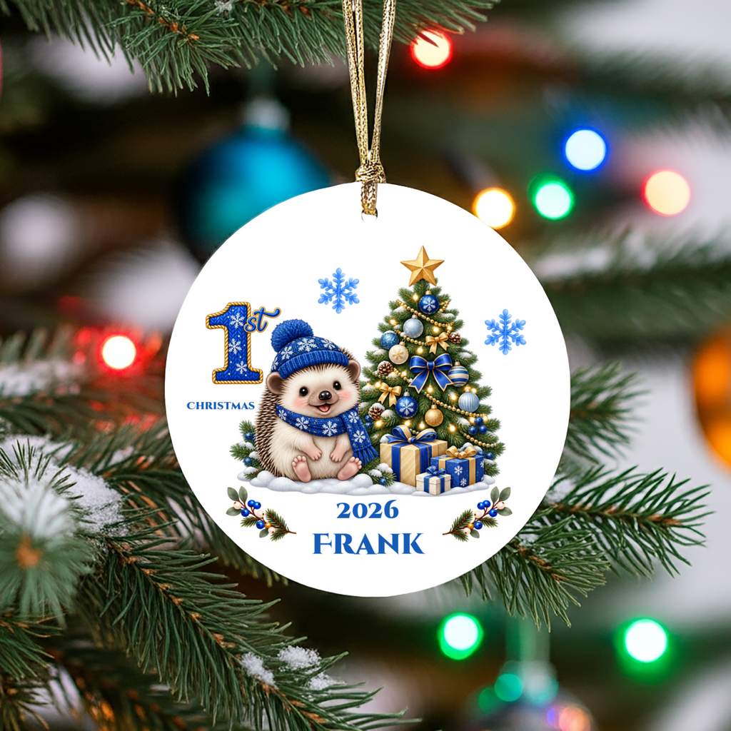 Hedgehog Baby Personalized Christmas Ornament, Baby's 1st 2nd 3rd Christmas, Custom Name Year Ceramic Keepsake