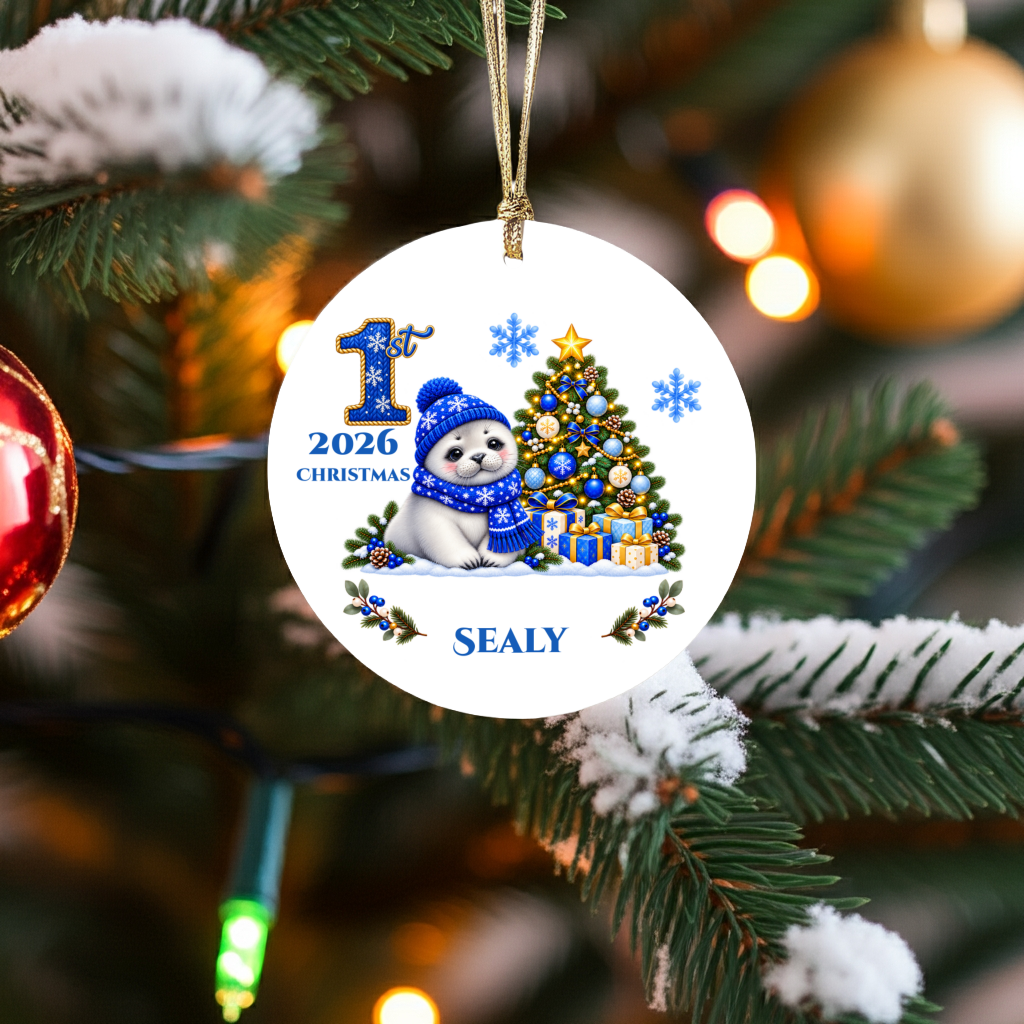 Seal Pup Personalized Baby's 1st 2nd 3rd Christmas Ceramic Keepsake Ornament, Custom Name Year, Boy Gift