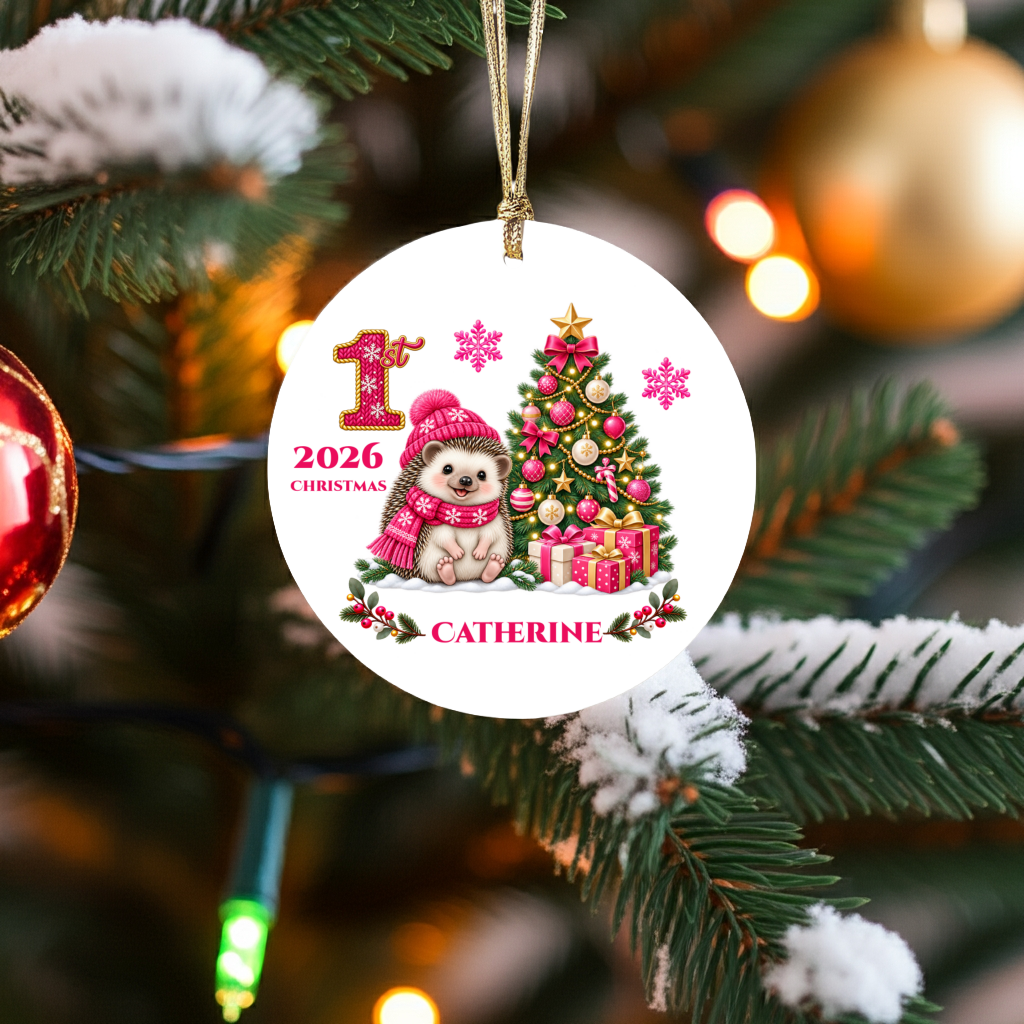 Hedgehog Baby Personalized Christmas Ornament Pink, Baby's 1st 2nd 3rd Christmas, Custom Name Year Ceramic Keepsake, Girl Gift