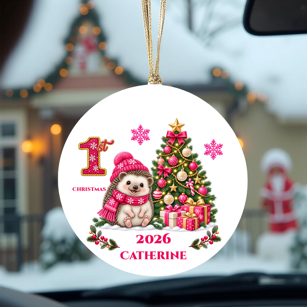 Hedgehog Baby Personalized Christmas Ornament, Baby's 1st 2nd 3rd Christmas, Custom Name Year Ceramic Keepsake