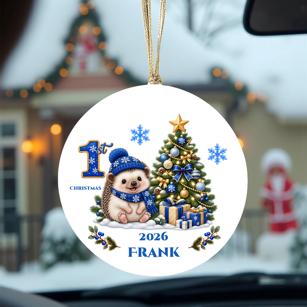 Hedgehog Baby Personalized Christmas Ornament, Baby's 1st 2nd 3rd Christmas, Custom Name Year Ceramic Keepsake
