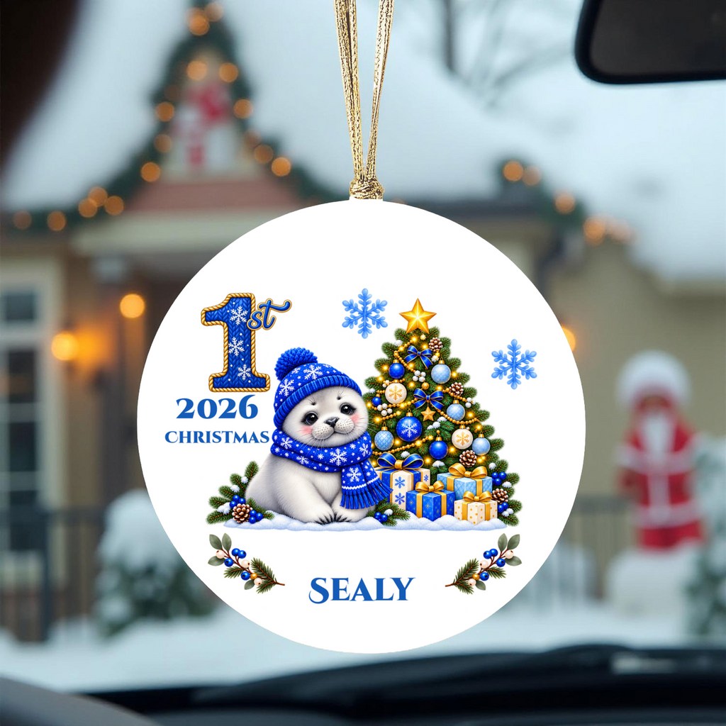 Seal Pup Personalized Baby's 1st 2nd 3rd Christmas Ceramic Keepsake Ornament, Custom Name Year, Boy Gift