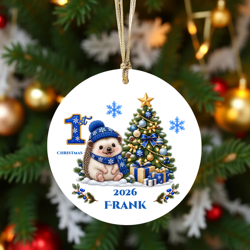 Hedgehog Baby Personalized Christmas Ornament, Baby's 1st 2nd 3rd Christmas, Custom Name Year Ceramic Keepsake