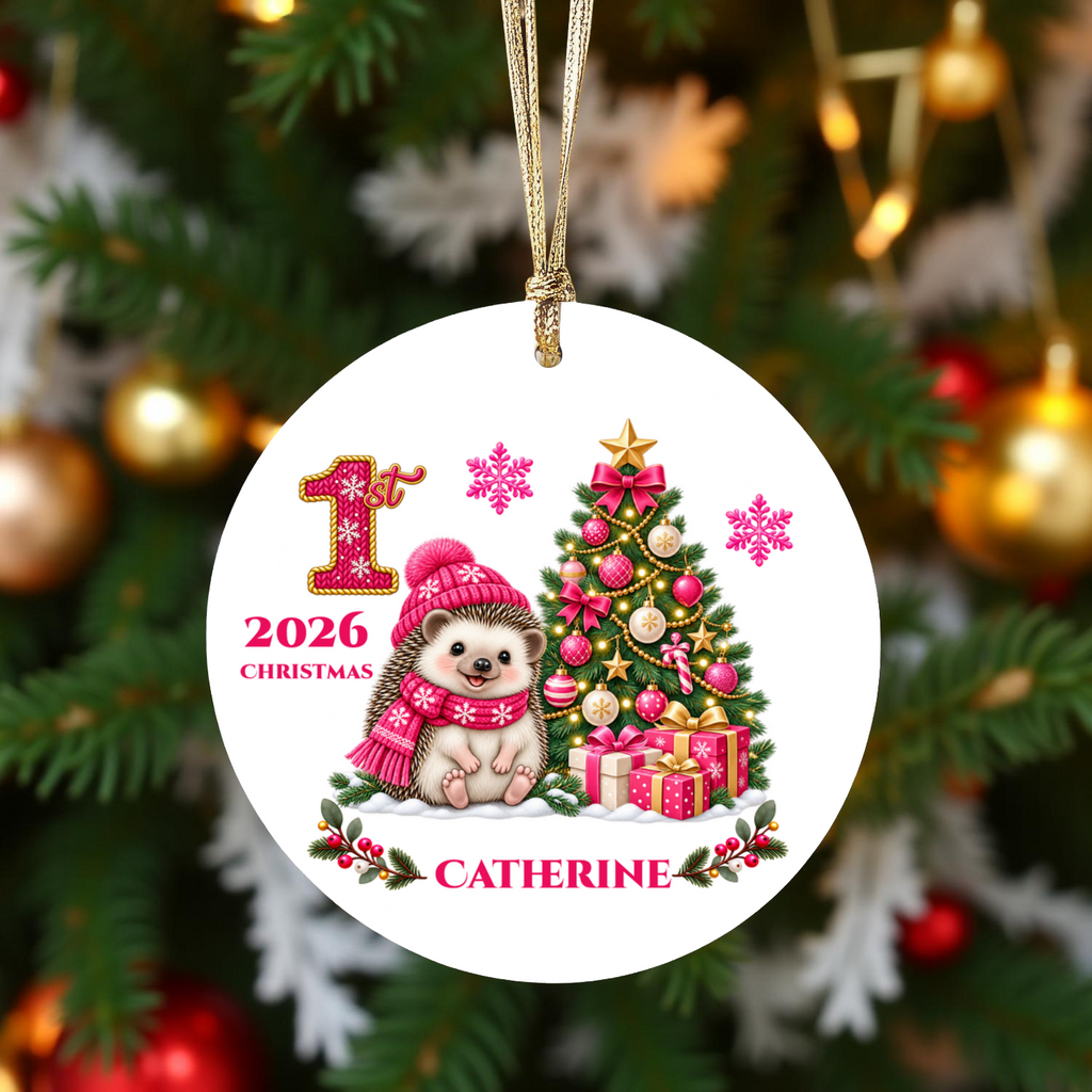 Hedgehog Baby Personalized Christmas Ornament Pink, Baby's 1st 2nd 3rd Christmas, Custom Name Year Ceramic Keepsake, Girl Gift