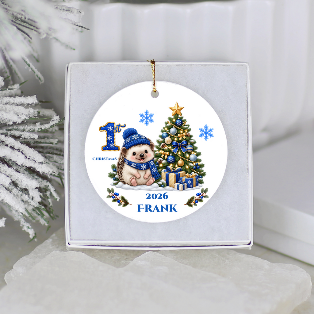 Hedgehog Baby Personalized Christmas Ornament, Baby's 1st 2nd 3rd Christmas, Custom Name Year Ceramic Keepsake