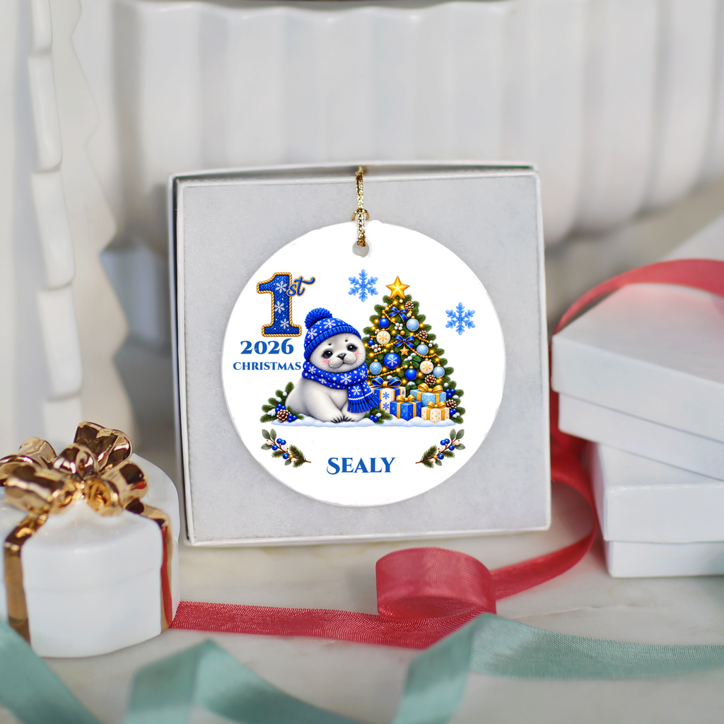 Seal Pup Personalized Baby's 1st 2nd 3rd Christmas Ceramic Keepsake Ornament, Custom Name Year, Boy Gift