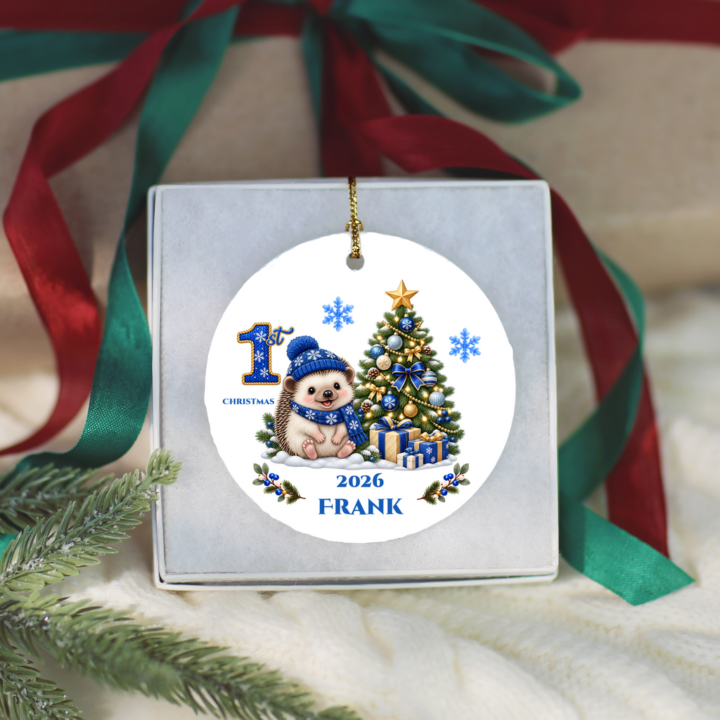 Hedgehog Baby Personalized Christmas Ornament, Baby's 1st 2nd 3rd Christmas, Custom Name Year Ceramic Keepsake