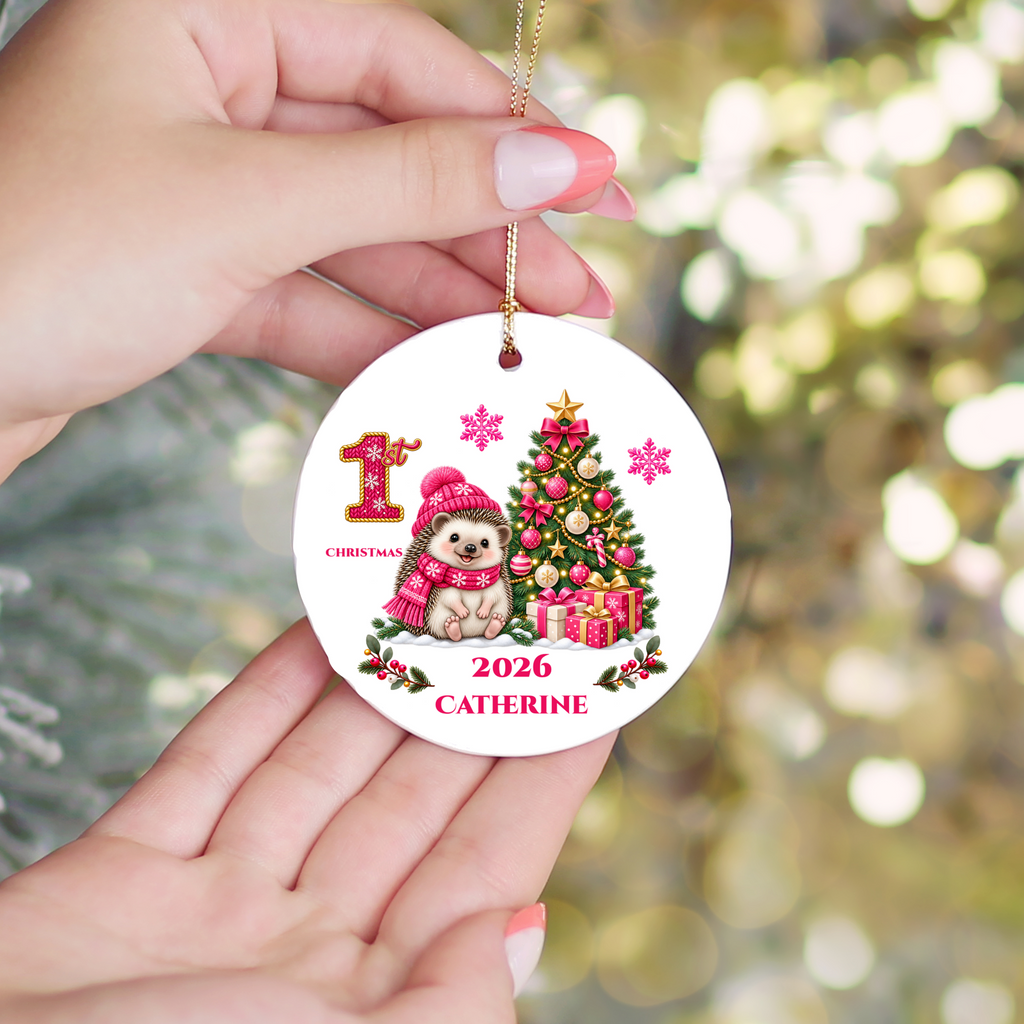 Hedgehog Baby Personalized Christmas Ornament, Baby's 1st 2nd 3rd Christmas, Custom Name Year Ceramic Keepsake