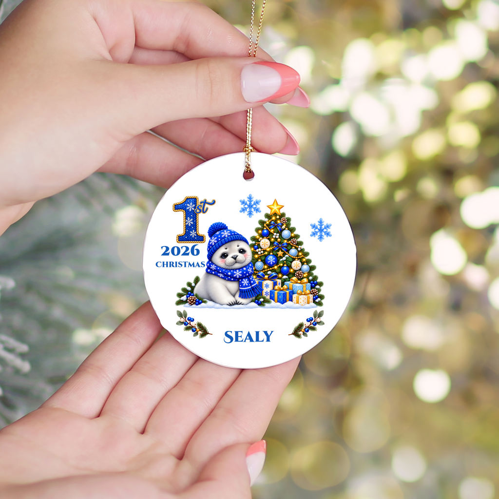 Seal Pup Personalized Baby's 1st 2nd 3rd Christmas Ceramic Keepsake Ornament, Custom Name Year, Boy Gift