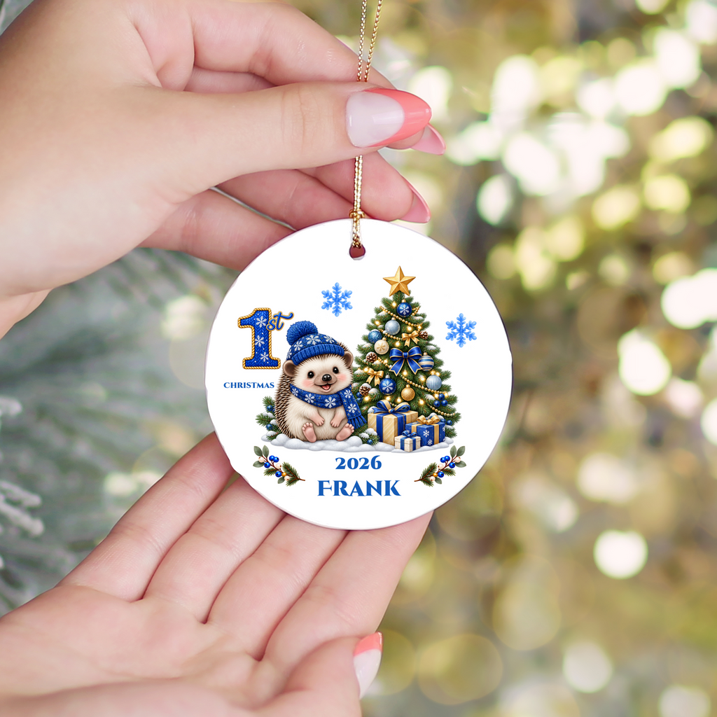 Hedgehog Baby Personalized Christmas Ornament, Baby's 1st 2nd 3rd Christmas, Custom Name Year Ceramic Keepsake