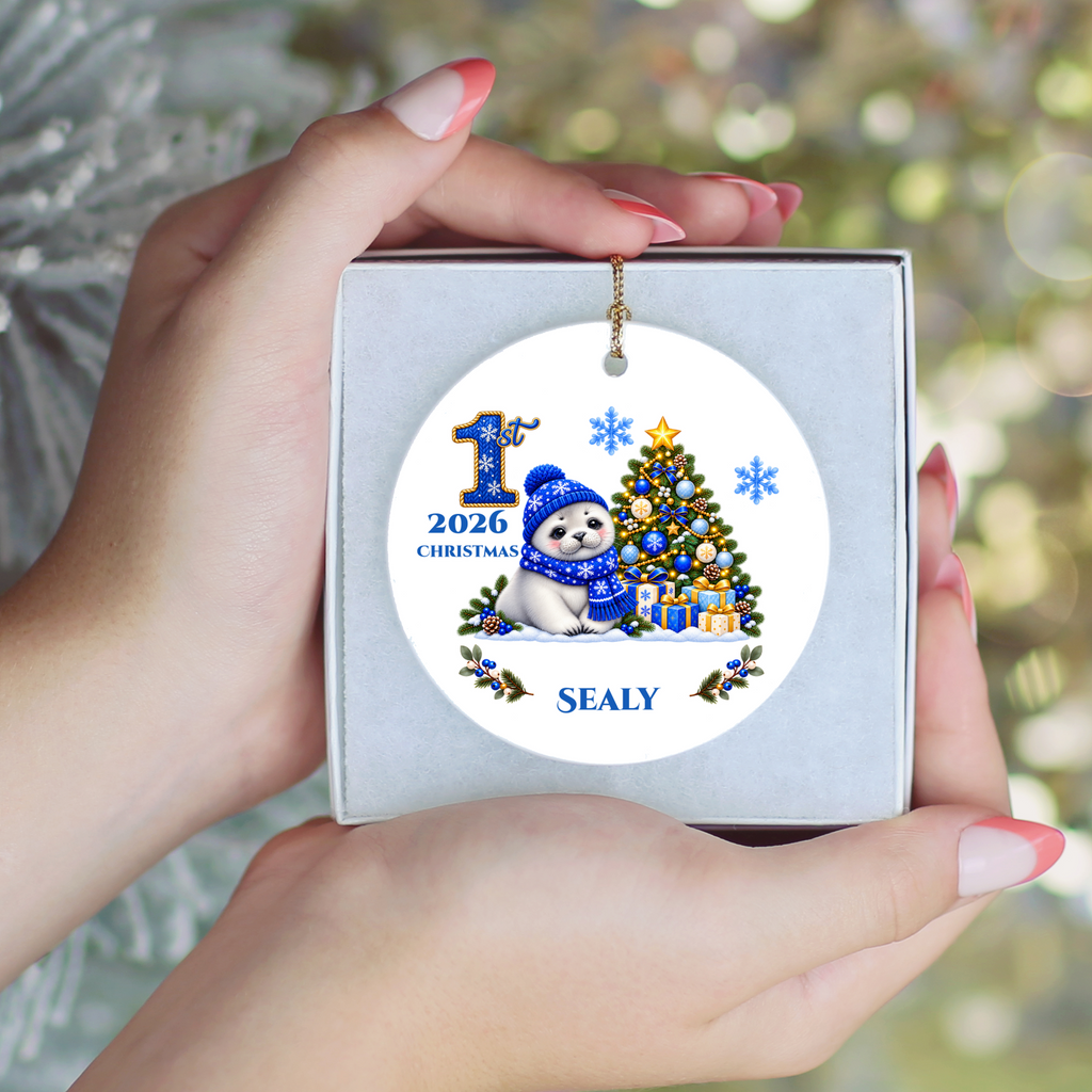 Seal Pup Personalized Baby's 1st 2nd 3rd Christmas Ceramic Keepsake Ornament, Custom Name Year, Boy Gift