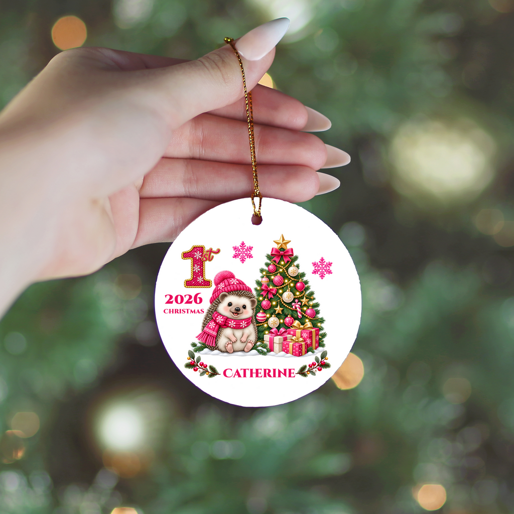 Hedgehog Baby Personalized Christmas Ornament Pink, Baby's 1st 2nd 3rd Christmas, Custom Name Year Ceramic Keepsake, Girl Gift