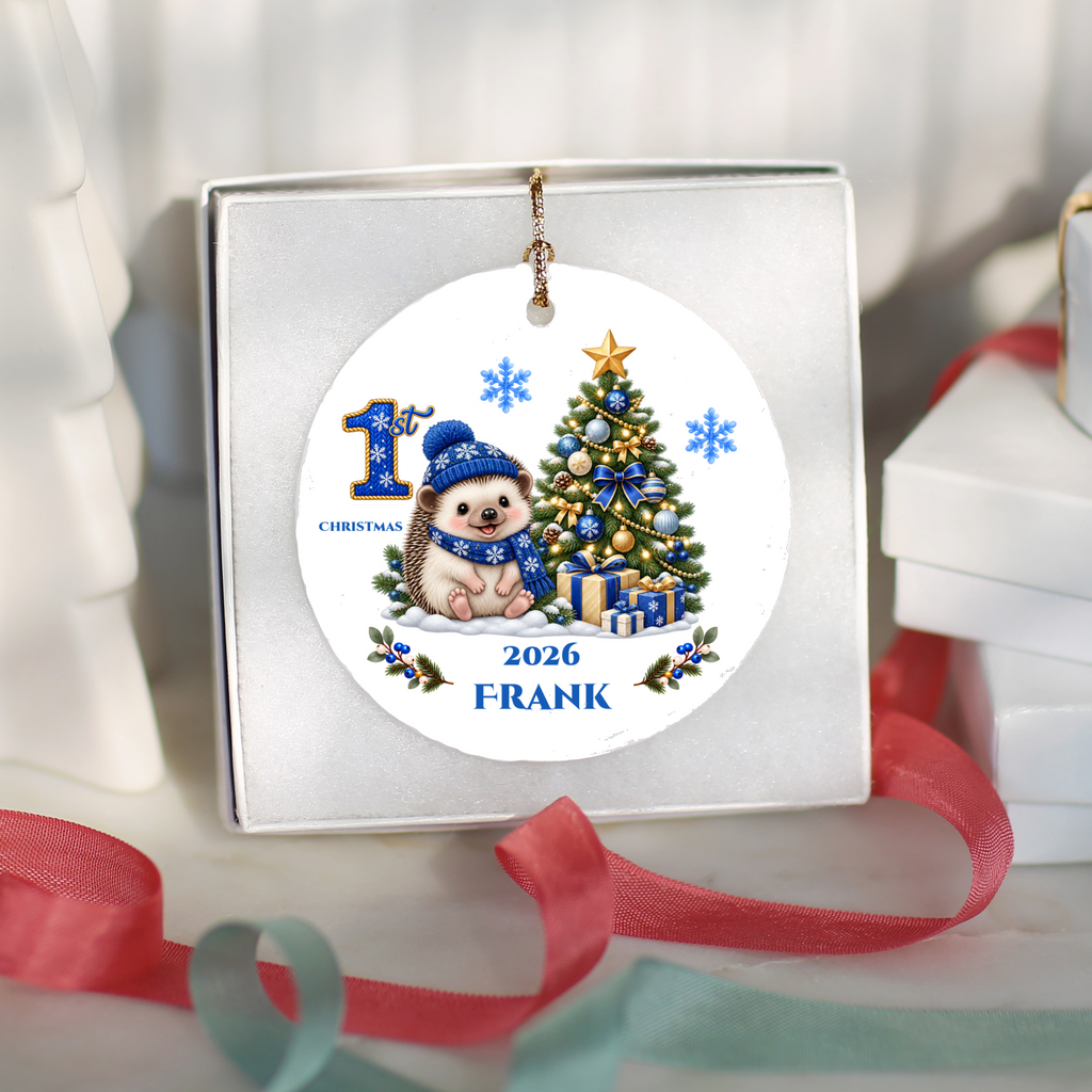 Hedgehog Baby Personalized Christmas Ornament, Baby's 1st 2nd 3rd Christmas, Custom Name Year Ceramic Keepsake