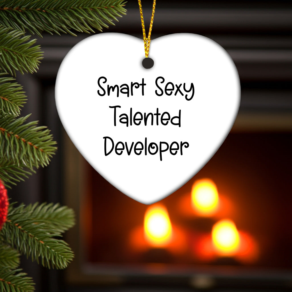 Smart Sexy Talented Developer Gifts, Heart Ornament with Funny Quote, Christmas Unique Gifts from Friends, Gifts for Developer