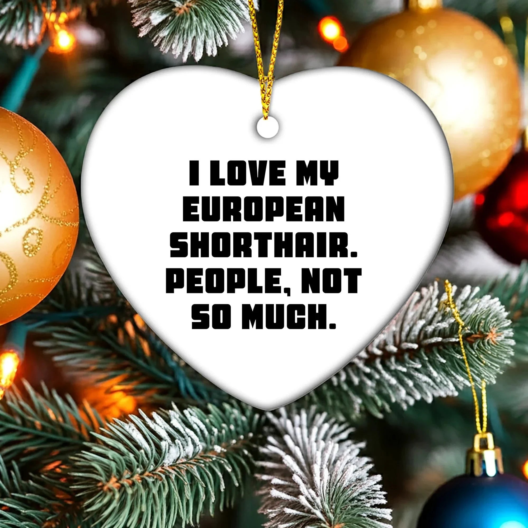 Funny European Shorthair Cat Heart Ornament Gifts from Friends to Family, 'I Love My European Shorthair. People, Not So Much.' for Christmas Unique Gifts