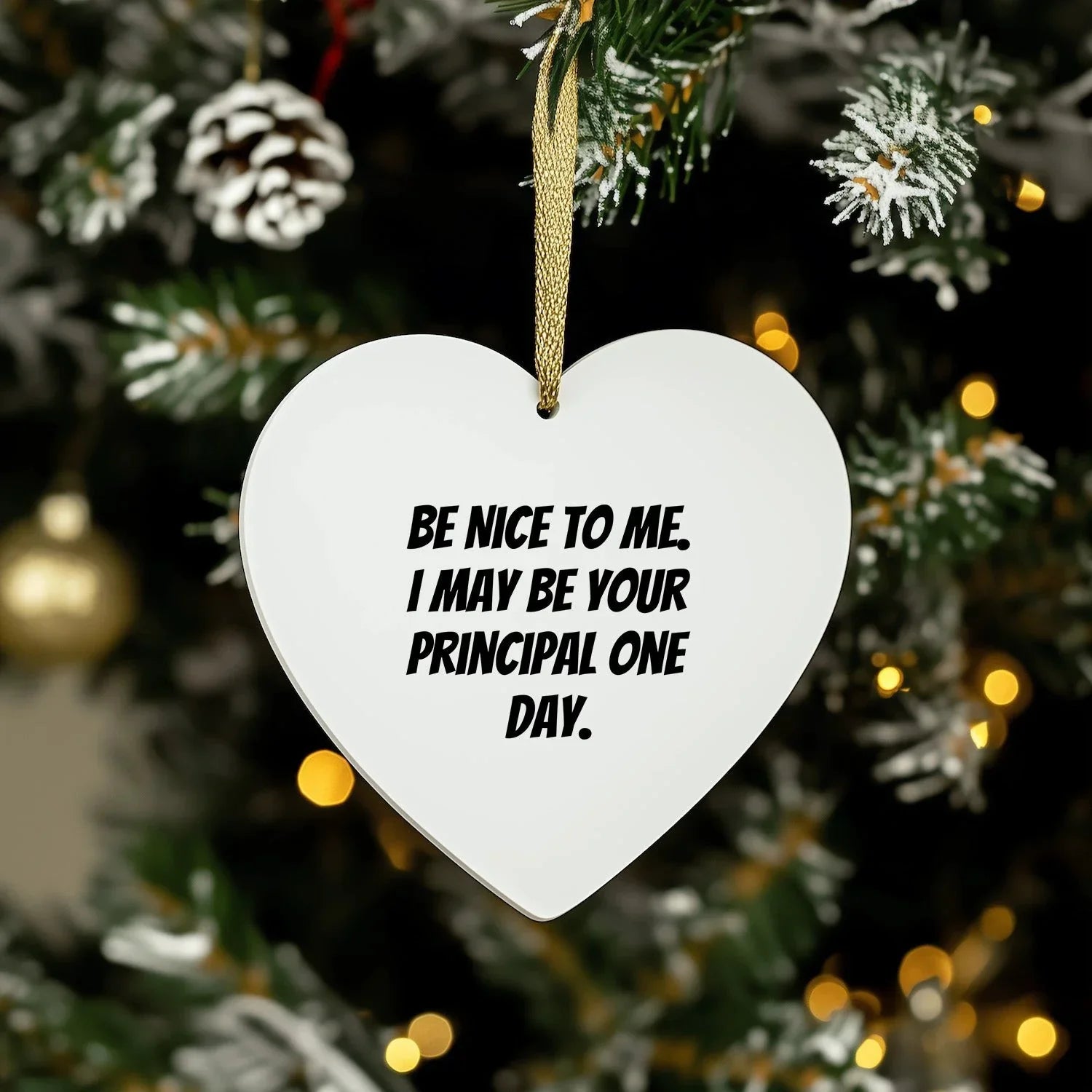 Funny Principal Heart Ornament Gifts from Friends, Coworkers or Family for Christmas - 'Be Nice To Me. I May Be Your Principal One Day.'