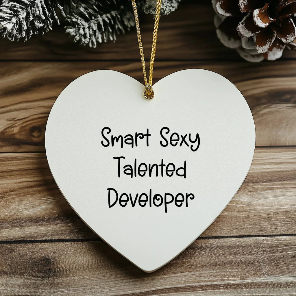 Smart Sexy Talented Developer Gifts, Heart Ornament with Funny Quote, Christmas Unique Gifts from Friends, Gifts for Developer