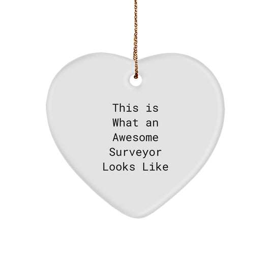 Surveyor Gifts, Heart Ornament - Funny Quote 'This Is What An Awesome Surveyor Looks Like' - Gifts from Friends for Surveyor - Unique Christmas Unique Gifts - Image 1