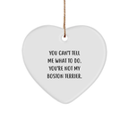Funny Boston Terrier Dog Gifts from Friends for Boston Terrier Dog Lovers, Heart Ornament for Christmas Unique Gifts - Image 1