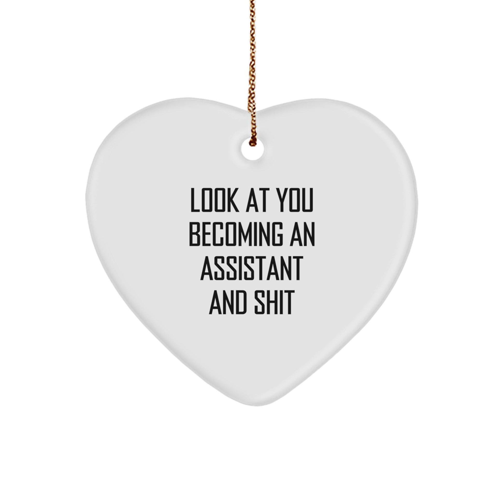 Funny Assistant Gifts from Friends - Look At You Becoming An Assistant And Shit, Heart Ornament, Christmas Unique Gift for Assistant Men, Women, Coworkers, Family - Image 1