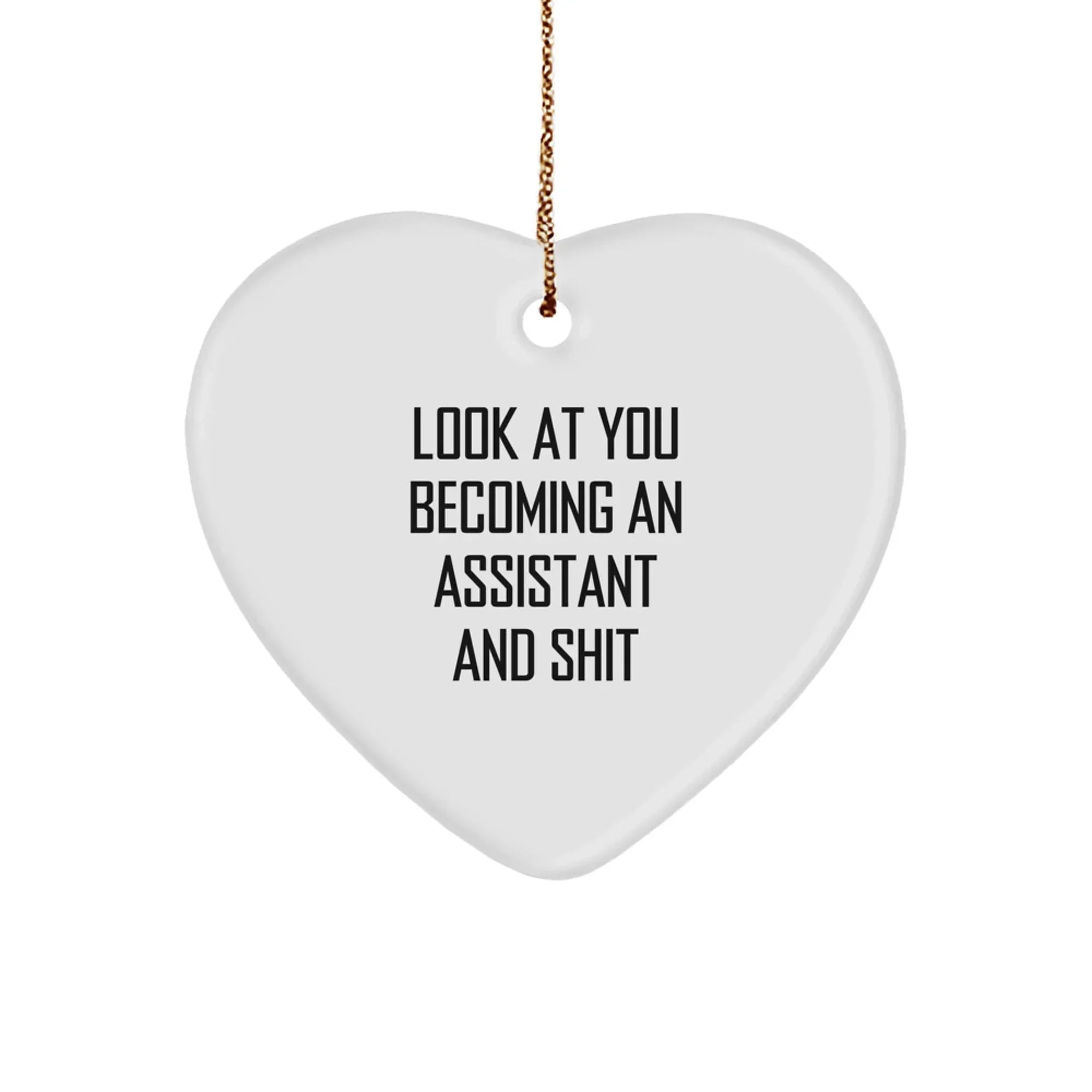 Funny Assistant Gifts from Friends - Look At You Becoming An Assistant And Shit, Heart Ornament, Christmas Unique Gift for Assistant Men, Women, Coworkers, Family