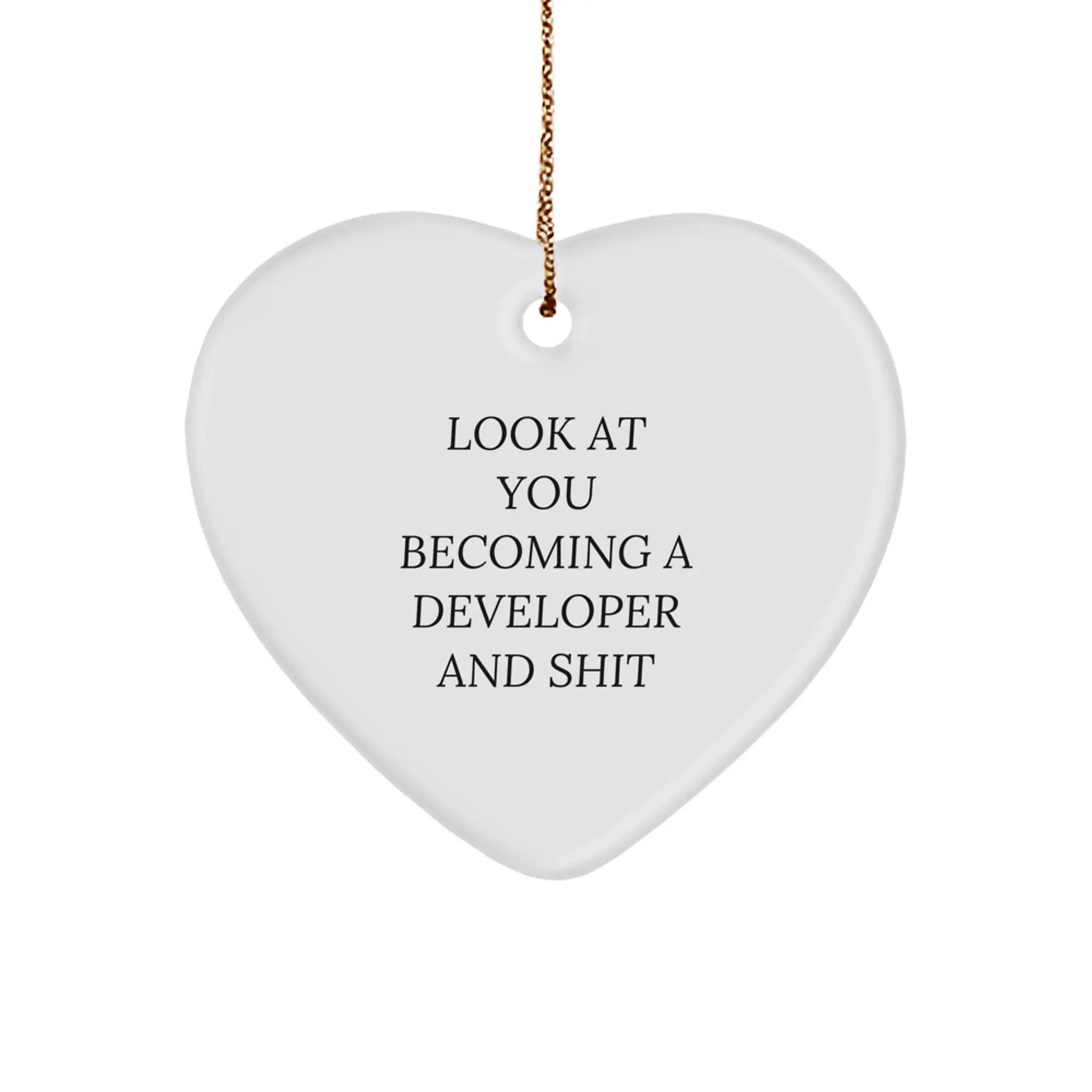 Funny Developer Gifts for Him, Heart Ornament with Inspirational Quote Look At You Becoming A Developer And Shit, Christmas Unique Presents from Friends - Image 1