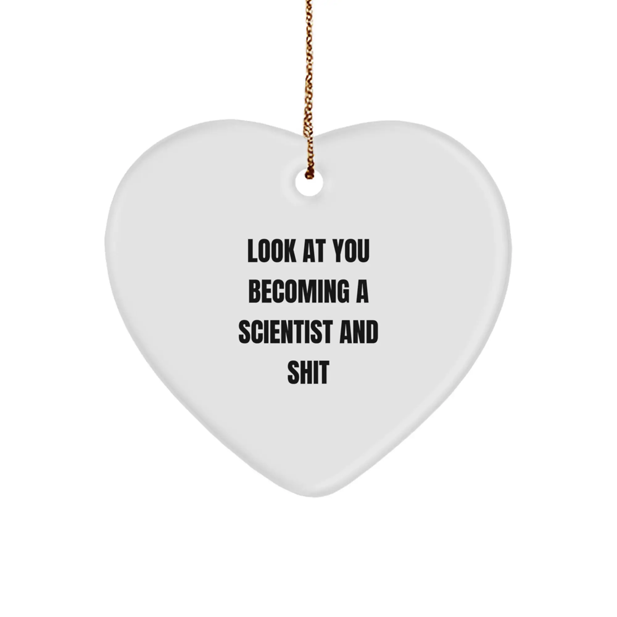 Funny Scientist Quotes Gifts for Him from Friends, Scientist Heart Ornament for Christmas Unique Gifts - Image 1
