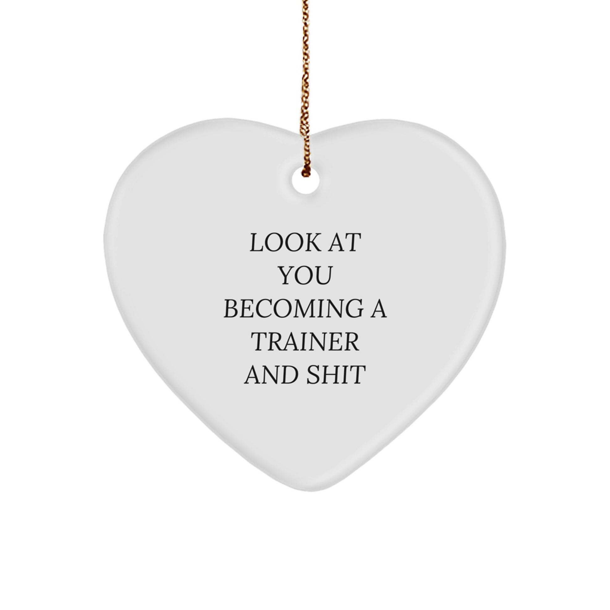 Funny Trainer Gifts from Friends and Family - Inspirational Heart Ornament with Quote 'Look At You Becoming A Trainer And Shit' for Christmas Unique Gifts for Trainers - Image 1