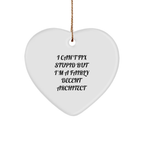 Funny Architect Gifts, Heart Ornament, I Can't Fix Stupid Quote, Gift for Him, Unique Christmas Unique Gifts from Men - Image 1