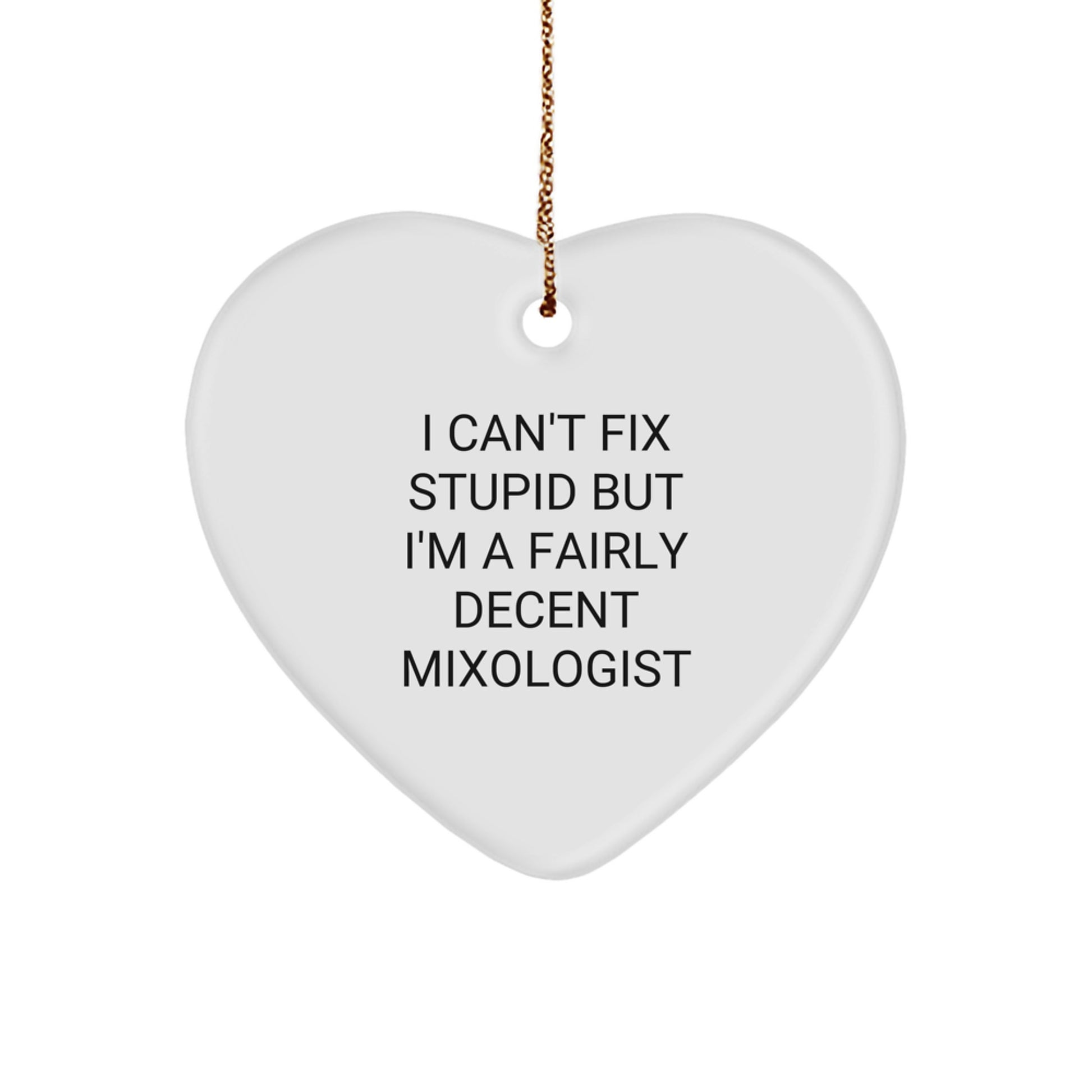 Funny Mixologist Gifts from Friends with Heart Ornament 'I Can't Fix Stupid But I'm A Fairly Decent' Quote for Christmas - Image 1