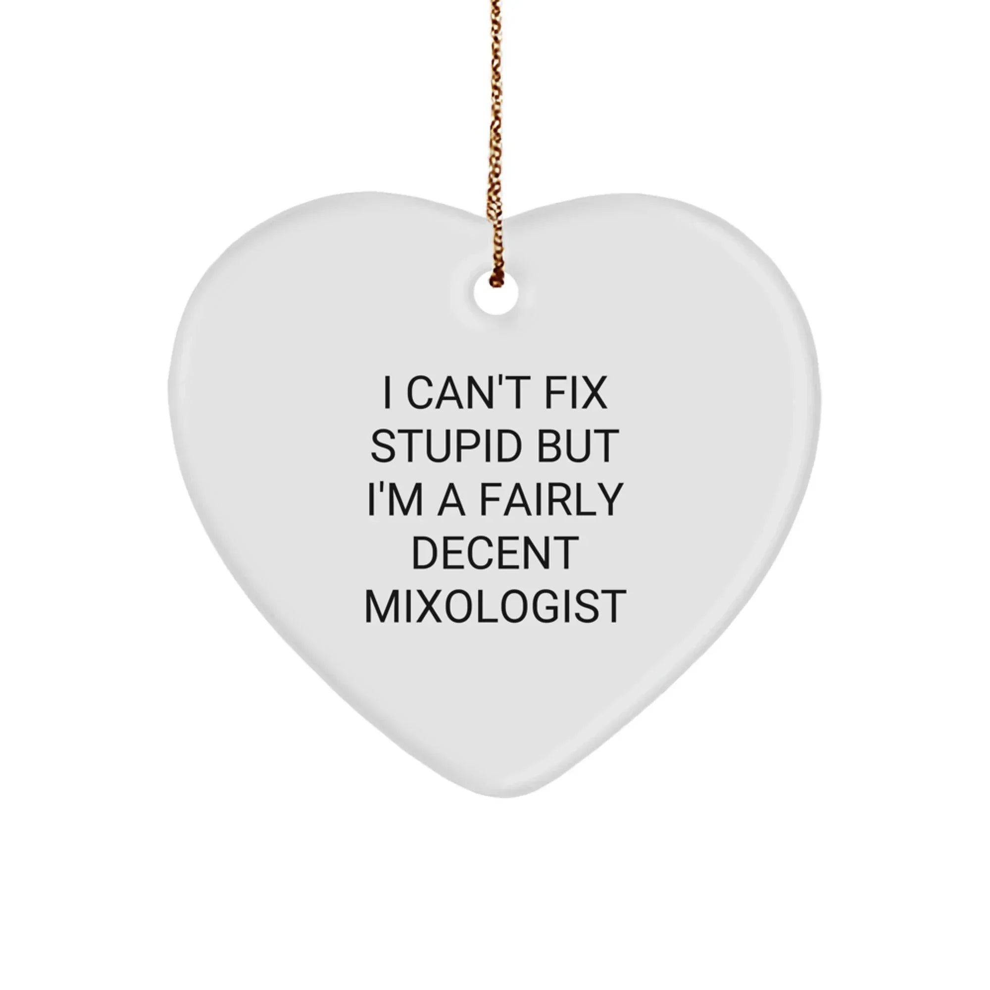 Funny Mixologist Gifts from Friends with Heart Ornament 'I Can't Fix Stupid But I'm A Fairly Decent' Quote for Christmas