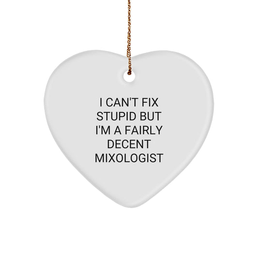 Funny Mixologist Gifts from Friends with Heart Ornament 'I Can't Fix Stupid But I'm A Fairly Decent' Quote for Christmas - Image 1