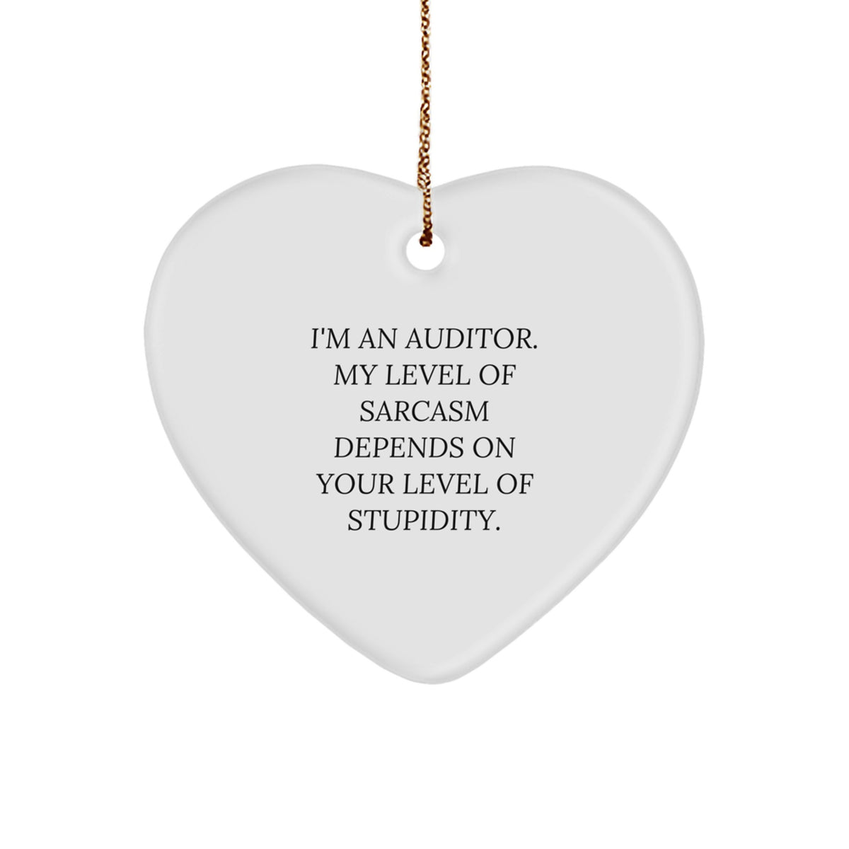 Sarcastic Auditor Novelty Christmas Ornament for Friends Gift - Image 1