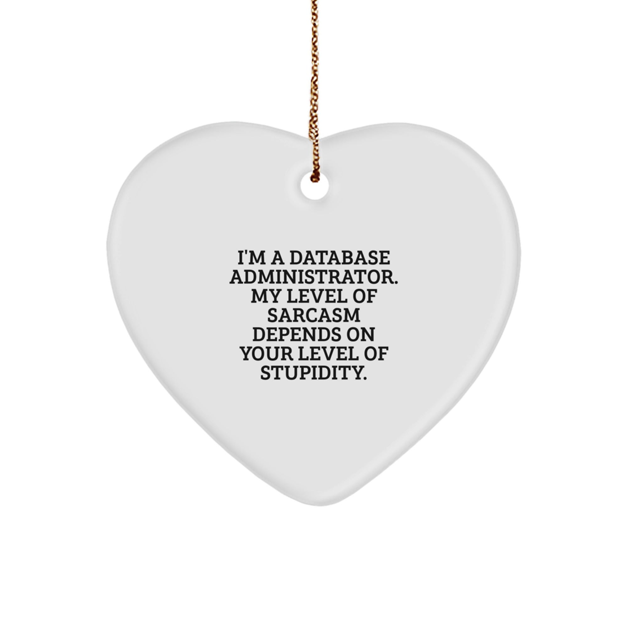 Funny Sarcastic Gifts for Database Administrator Christmas Ornament from Friends for Men and Women