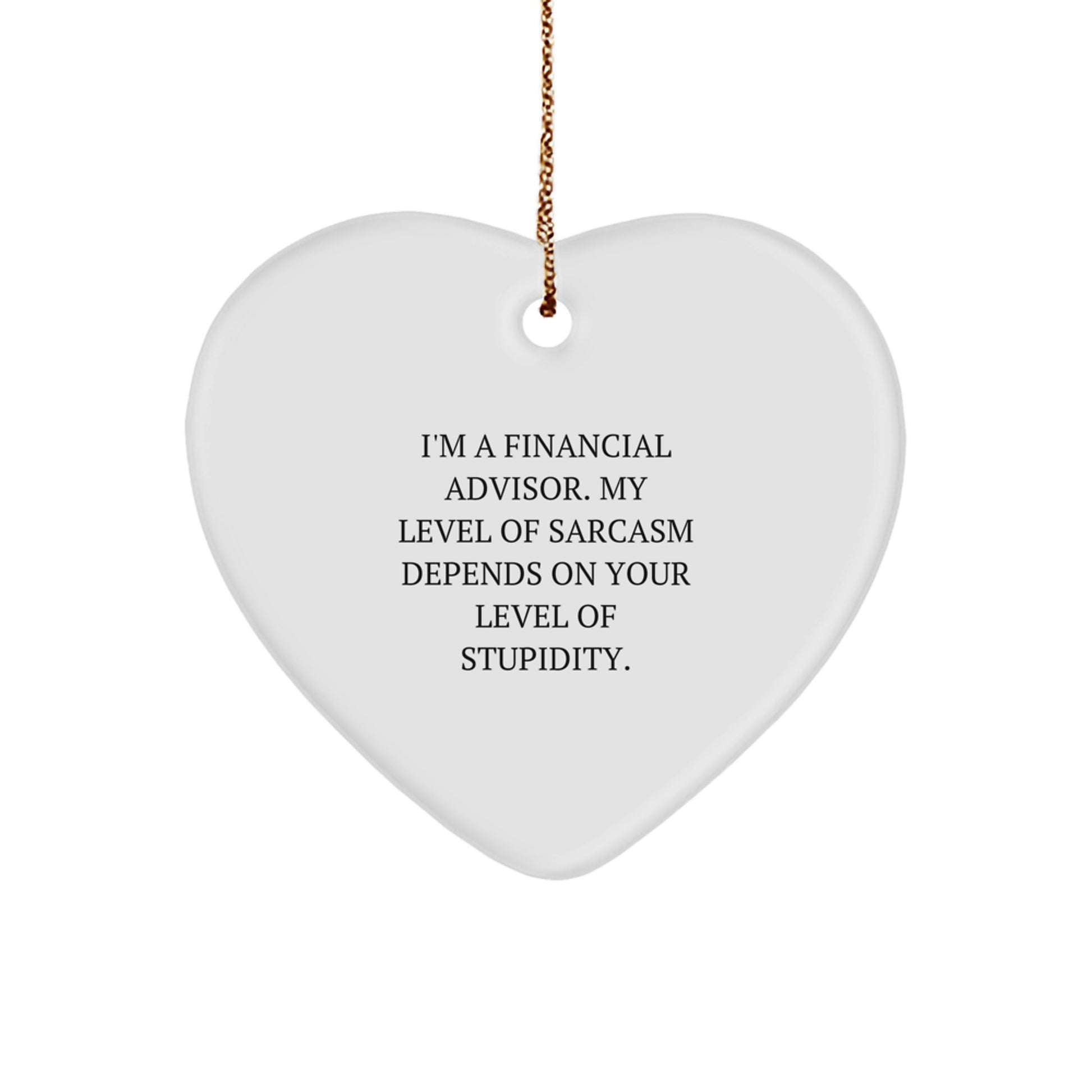 Funny Sarcasm Gifts from Men to Financial Advisor Friends for Christmas Unique - Image 1