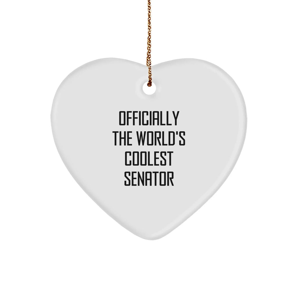 Funny Senator Heart Ornament Gifts from Friends and Family for Senator Men and Women Christmas Unique Decoration