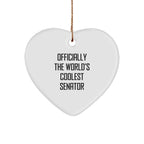 Funny Senator Heart Ornament Gifts from Friends and Family for Senator Men and Women Christmas Unique Decoration