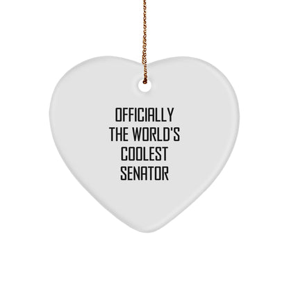 Funny Senator Heart Ornament Gifts from Friends and Family for Senator Men and Women Christmas Unique Decoration - Image 1