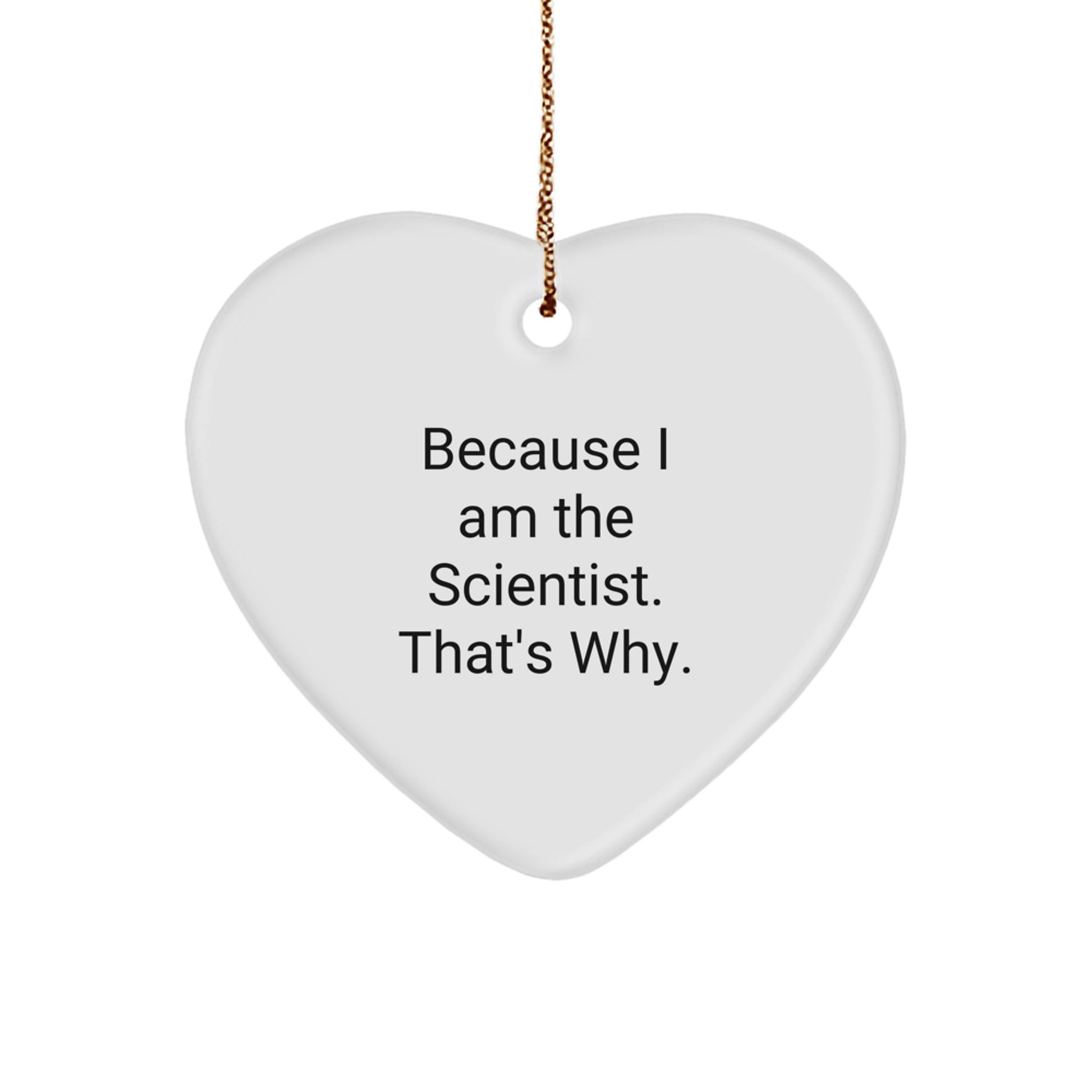 Scientist Gifts from Men for Christmas Unique Heart Ornaments, 'Because I Am The Scientist. That's Why.' - Funny Christmas Unique Gifts for Him