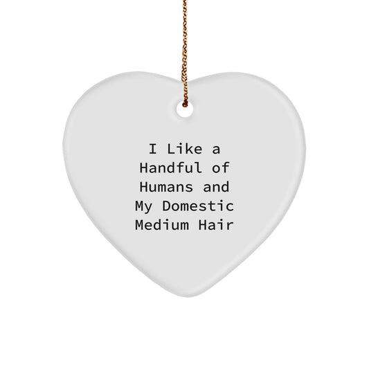 Domestic Medium Hair Cat Lover Funny Heart Ornament Christmas Unique Gifts from Friends for Men Women Family - Image 1