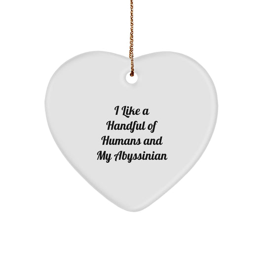 Funny Abyssinian Cat Gifts from Men for Women, Cute Heart Ornament for Christmas Unique Gifts - Image 1