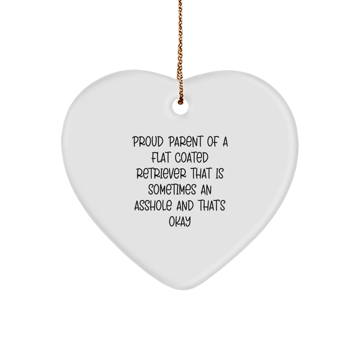 Sarcastic Flat Coated Retriever Christmas Ornament Gift for Roommates - Image 1