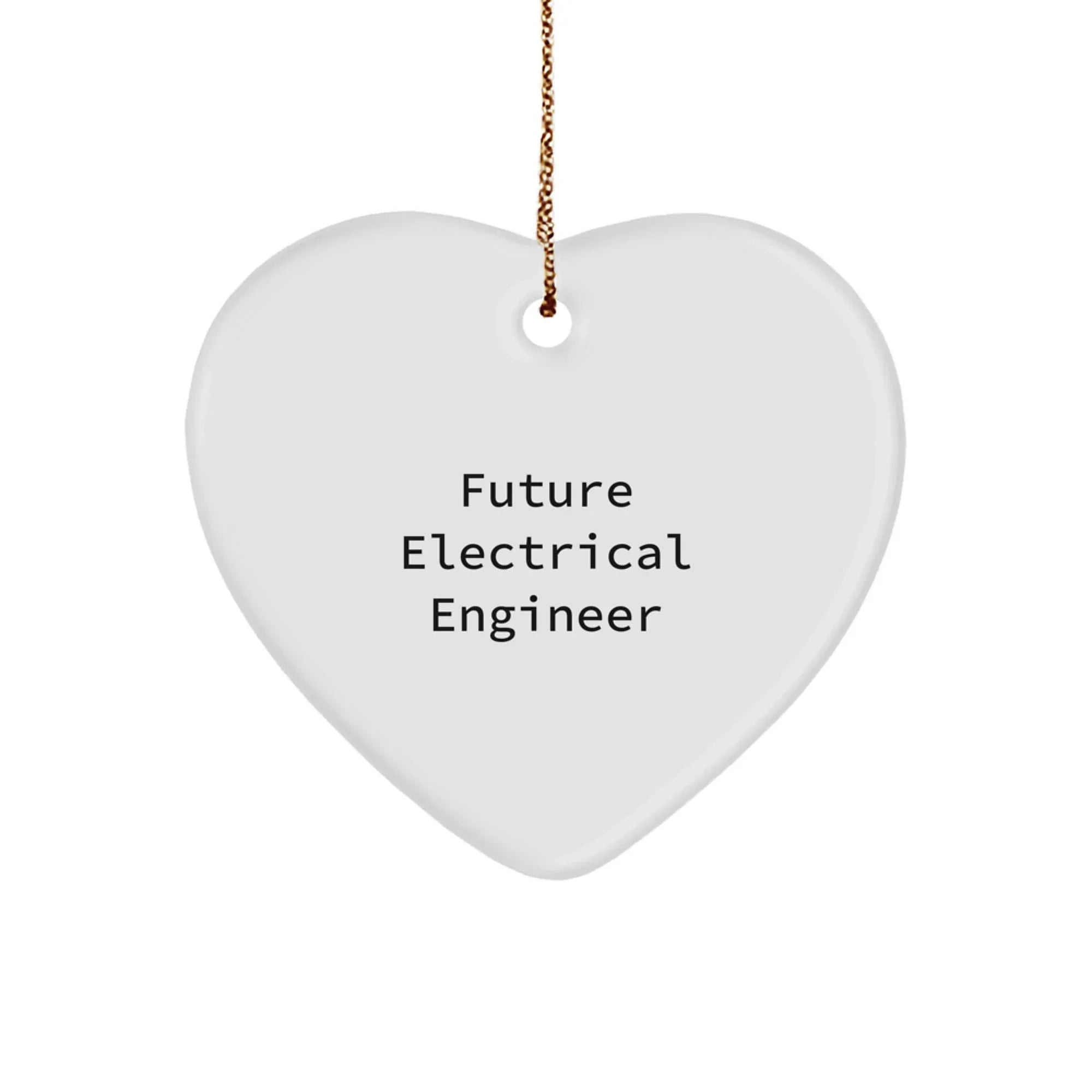 Funny Electrical Engineer Gifts from Friends for Future Electrical Engineer Christmas Unique Ornaments