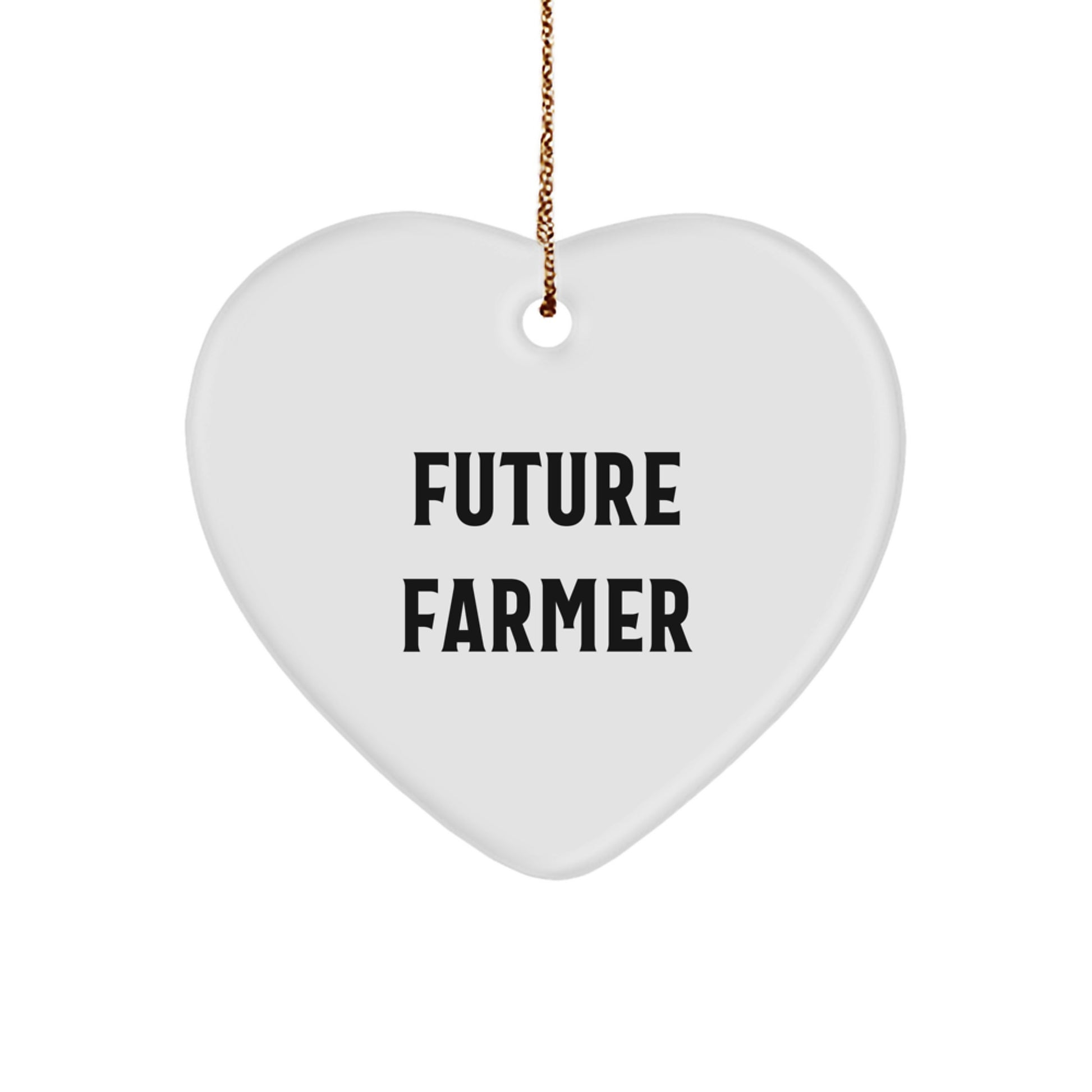 Gifts from Family for Future Farmers Heart Ornament, Funny Quote, Christmas Unique Gifts, Farmer Gifts - Image 1