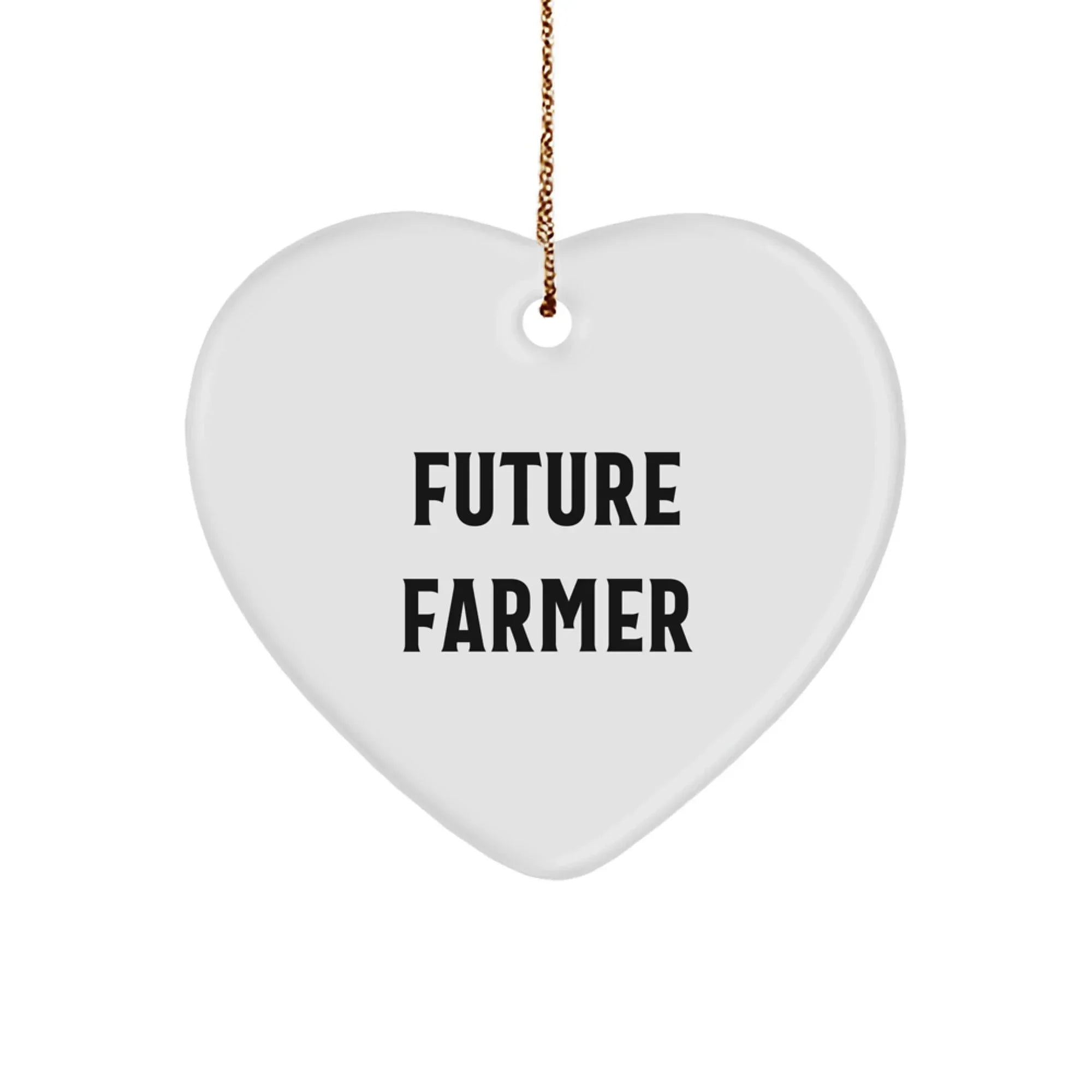 Gifts from Family for Future Farmers Heart Ornament, Funny Quote, Christmas Unique Gifts, Farmer Gifts