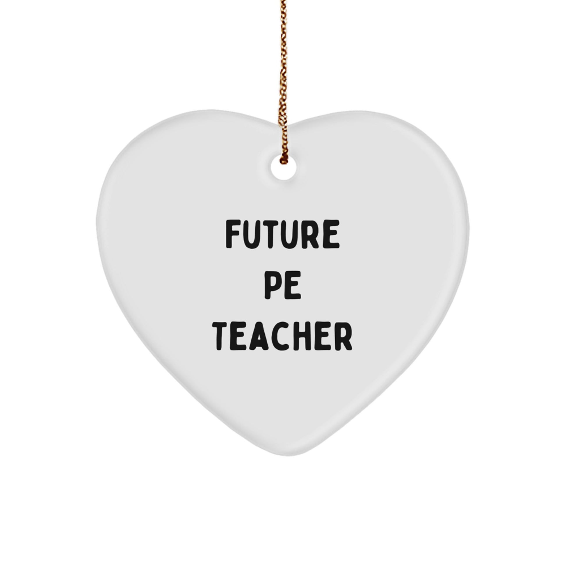 Funny PE Teacher Heart Ornament Gifts from Friends to PE Teacher, Future PE Teacher Christmas Unique Presents
