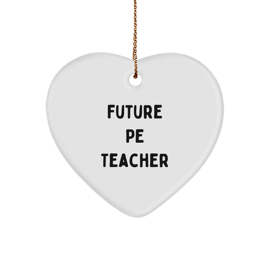 Funny PE Teacher Heart Ornament Gifts from Friends to PE Teacher, Future PE Teacher Christmas Unique Presents
