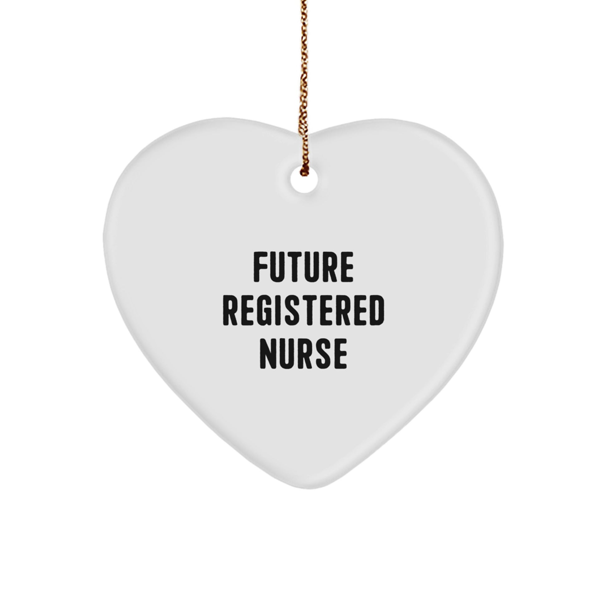 Funny Future Registered Nurse Gifts from Family, Heart Ornament for Christmas, Inspirational Quote - Gifts for Registered Nurse - Image 1