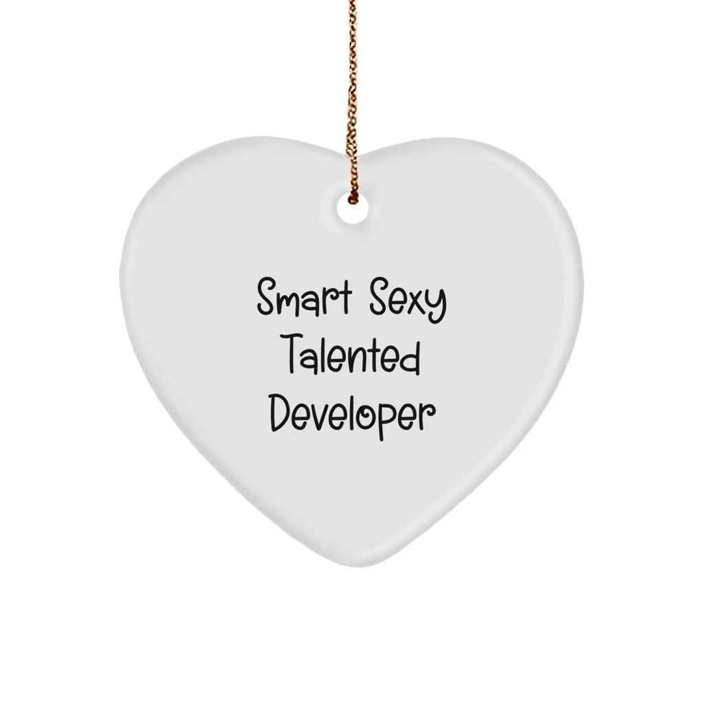 Smart Sexy Talented Developer Gifts, Heart Ornament with Funny Quote, Christmas Unique Gifts from Friends, Gifts for Developer