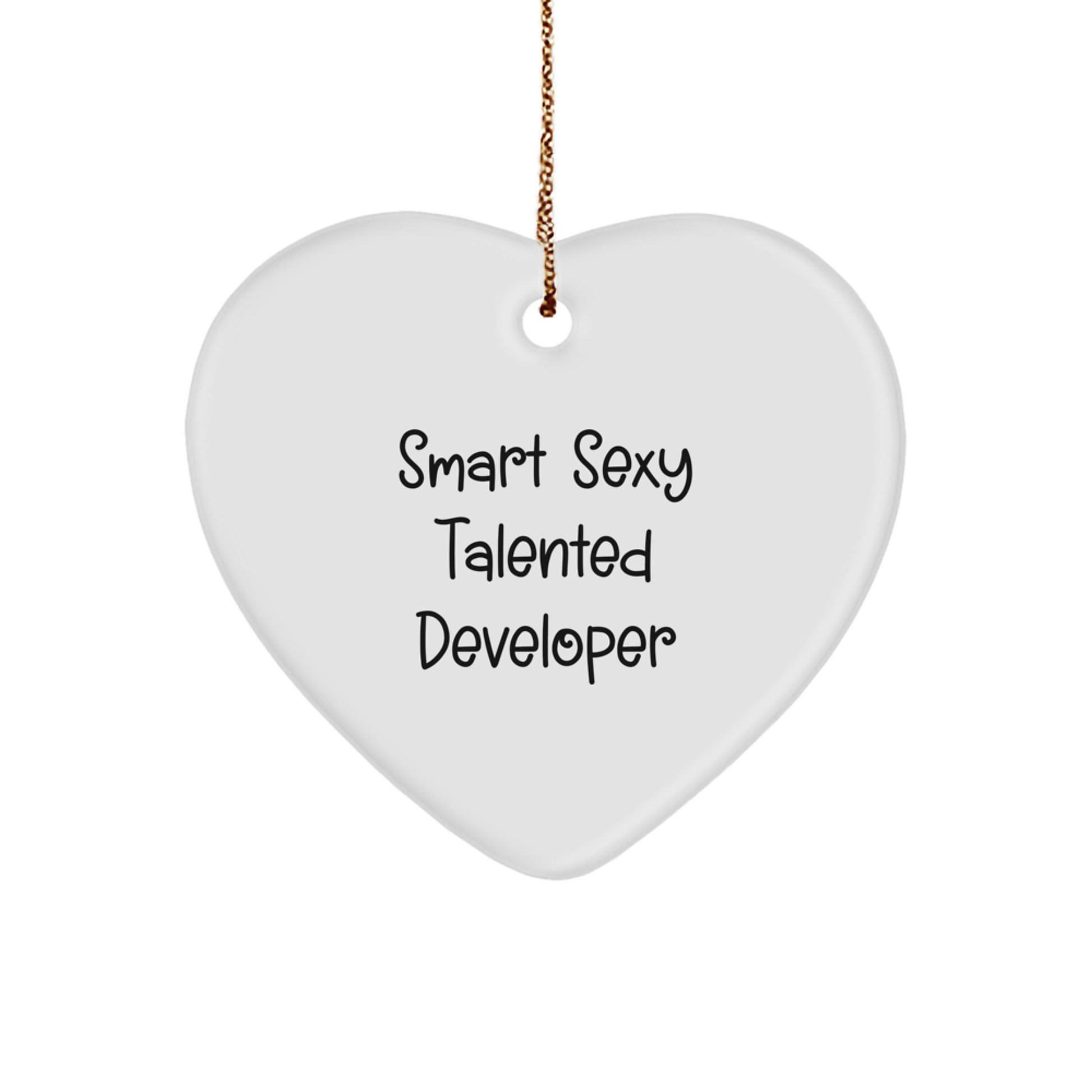Smart Sexy Talented Developer Gifts, Heart Ornament with Funny Quote, Christmas Unique Gifts from Friends, Gifts for Developer
